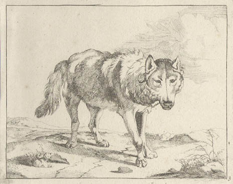 Marcus De Bye and Paulus Potter - Wolf Plate Three