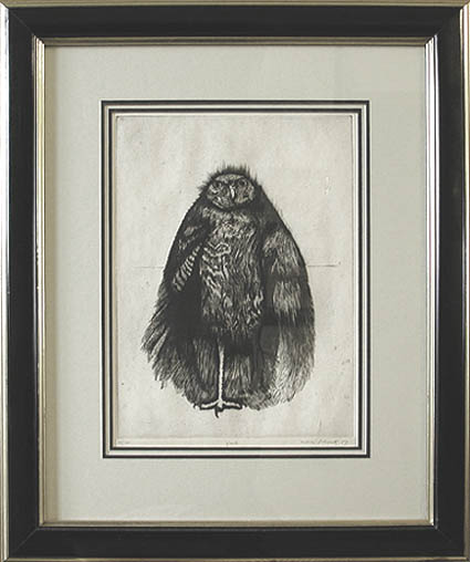 Aubrey Schwartz - Framed Image - Hawk